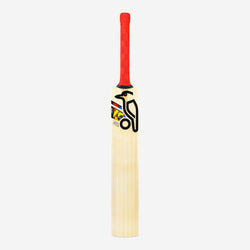 Kookaburra BEAST PRO 9.0 JUNIOR KASHMIR CRICKET BAT