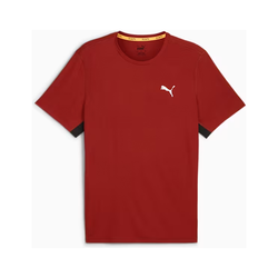 Puma RUN FAVORITE VELOCITY  Tee. Mens. mars red