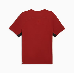 Puma RUN FAVORITE VELOCITY  Tee. Mens. mars red