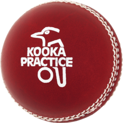Kookaburra Practice Ball 156g Red. Box of 12